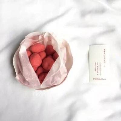 宠物龙2最新版下载