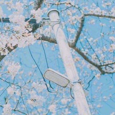 全能高手手游九游版下载
