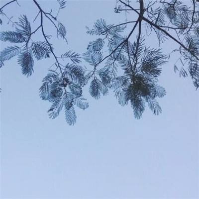 神武天地劫官方版下载